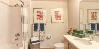 Ethos Gallery 63