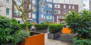 Kirkland Crossing Gallery 29