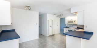 PET FRIENDLY POOL HOME IN PORT CHARLOTTE Gallery 7