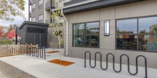 The Line Urban Flats Gallery 67