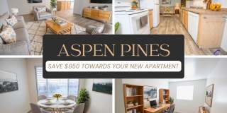 Aspen Pines Gallery 1
