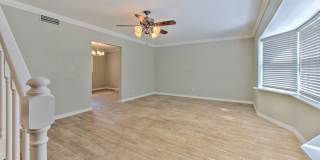 South Tampa single family Gallery 18