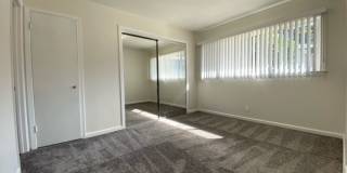 Brand New 1st Floor 1 bedroom 1 bath coming soon! Gallery 25