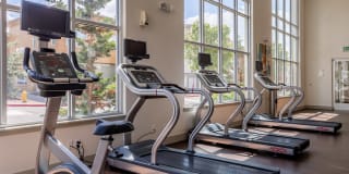 Madison Bellevue Gallery 19