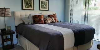 1100 E Amado Road Gallery 16