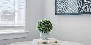 The Stella Gallery 18