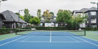 Alister Lake Lynn Gallery 18