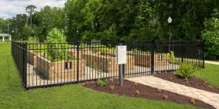 Hawthorne at Pine Forest Gallery 34