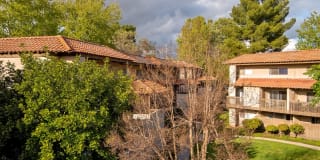 Wilbur Oaks Apartments Gallery 5