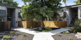 The Boardwalk Gallery 24