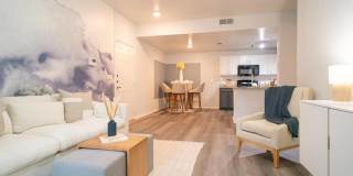 The Palmera Gallery 2