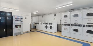 Wood Lee Arms Gallery 45