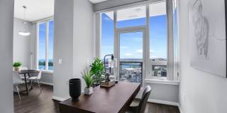 Pinnacle on the Park Gallery 10