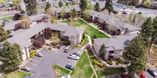 Native Sun Gallery 16