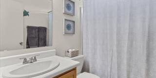 4066 E MELINDA Lane Gallery 22