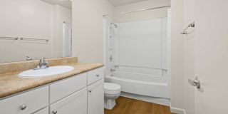 Lantern Cove Gallery 21