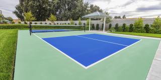 Solasta Solasta Gallery 23