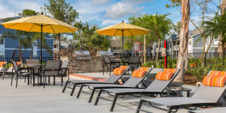 Northgreen at Carrollwood Gallery 29