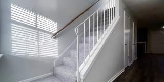 Plantation Flats Gallery 4