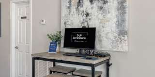 DLP Jonesboro Gallery 11