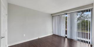 The Saratoga Gallery 19