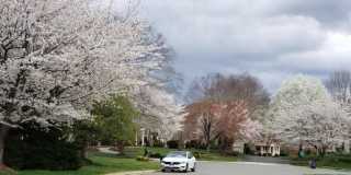 10418 WILLOW CREST Court Gallery 25