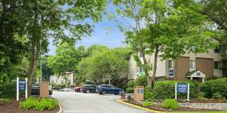 ReNew Washington Park Gallery 22