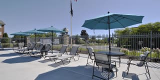 The Maxwell Gallery 11