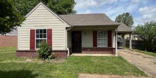 Renovated 2 Bedroom 2 Bath Home for Rent! Gallery 1
