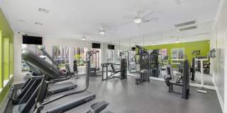 Greenwood Forest Gallery 9