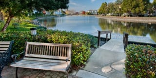 Riva Terra Apartments at Redwood Shores Gallery 73