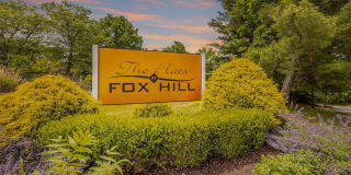 The Flats at Fox Hill Gallery 37