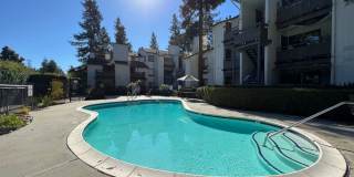 Bright Spacious Downstairs 1 bedroom 1 bath Condo in Serene North San Jose Community Gallery 11