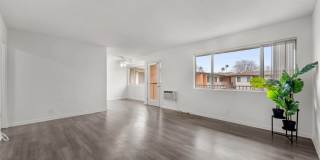 Sunset Square Gallery 22