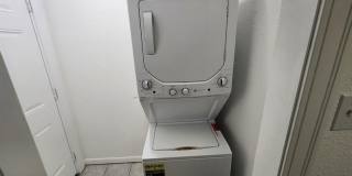 3 Bed 2 Bath in Hyde Park with Huge Yard Gallery 10