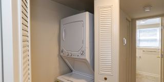 Geno Baroni Gallery 19