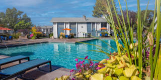 Brighton Place Brighton Place Gallery 1