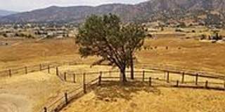 Beautiful 3/2 in Oak Knolls Gallery 5