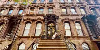 556 Chapel Street unit: Apt 3 Gallery 1