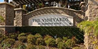 The Vineyards at Hammock Ridge Gallery 2