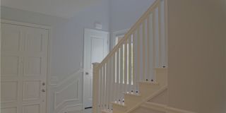 132 Island Coral Gallery 17