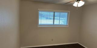 Buena Vida Gallery 7