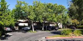2 BED 1.5 BATH CONDO IN WALNUT CREEK 2 BED 1.5 BATH CONDO IN WALNUT CREEK Gallery 1