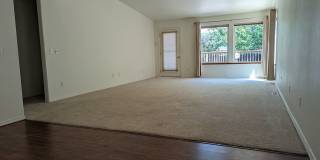 Beautiful Condo in Quiet Neighborhood - Small Pet Allowed Gallery 1