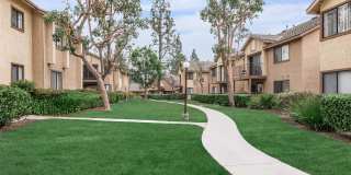 Mountain Springs Gallery 12