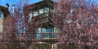 2005 JW BERTULIS Gallery 3