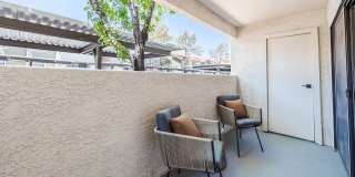 Sage at Green Valley Gallery 7