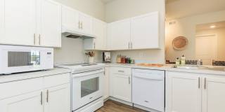 Eight 99 at Hazelwood Gallery 20