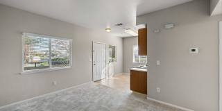 Avery at TownCentre Gallery 52