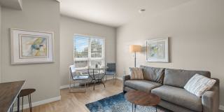 The Felix Gallery 22